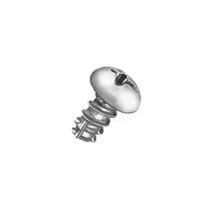 Lincoln Industrial 66202-9 SCREW SS