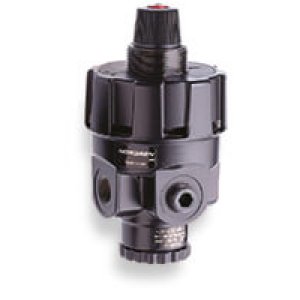 R24-400-RNCG R24 Series spring adjustment,1/2g ports, without gauge