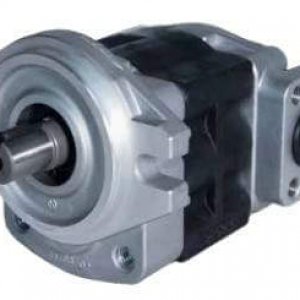 NASGP-1A-16F-8H3-R-E10 External Gear Pump